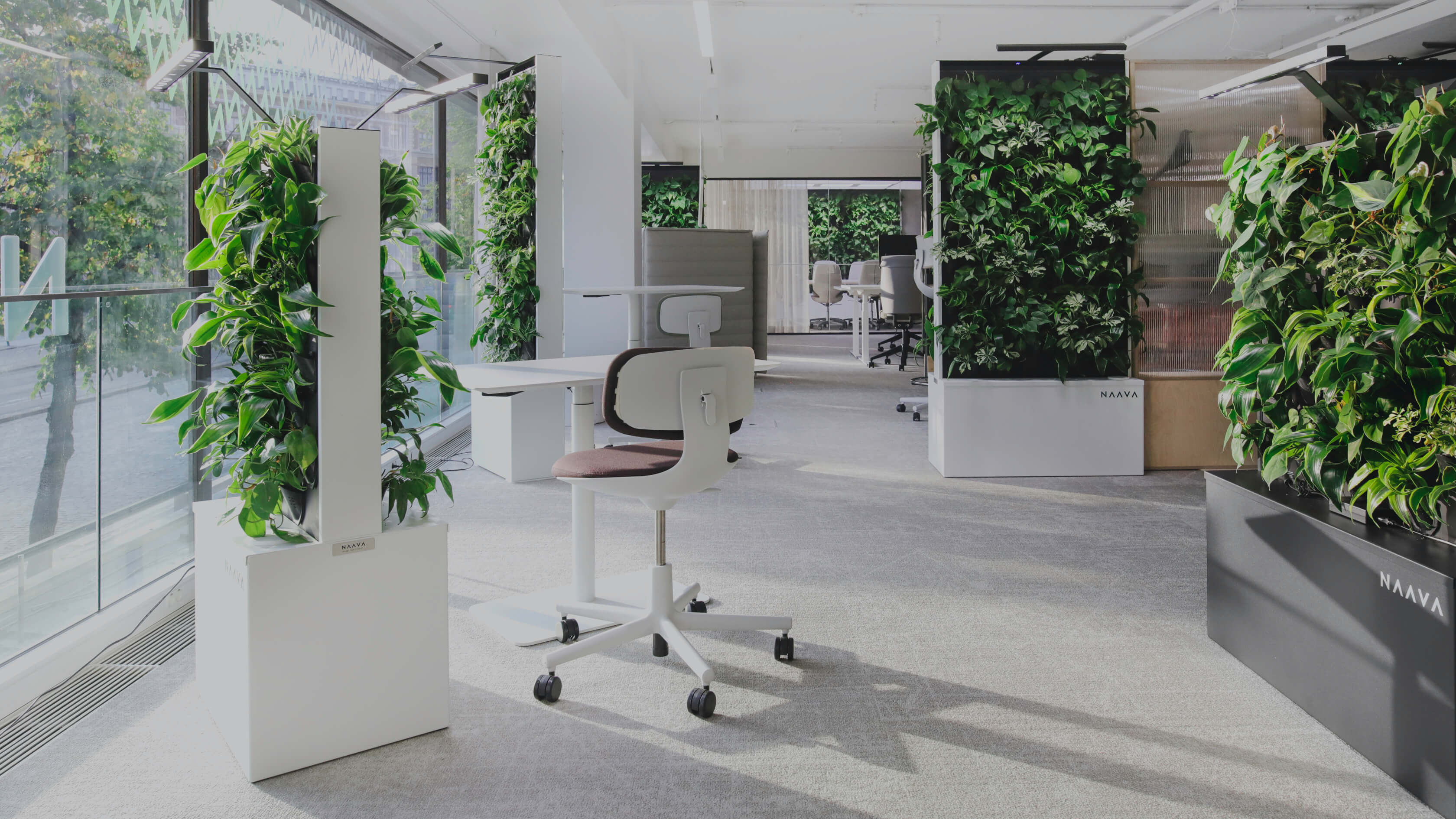 Biophilic Design